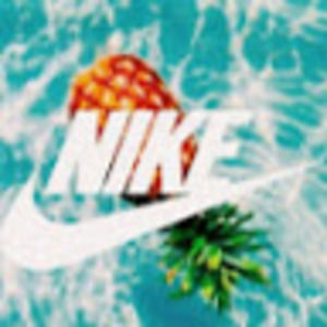 Meet your Posher, Brady